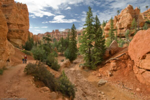 Bryce Canyon, Navajo Loop