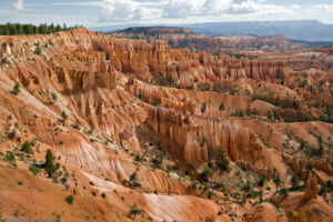 Nel Bryce Canyon gli hoodoos hanno un'altezza che va da 1,70 metri fino a 30 metri