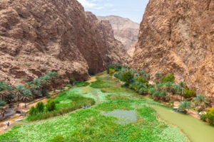 Wadi Shab. Dai Monti Hajar sbocca nel Golfo dell'Oman all'altezza del villaggio di Ash Shab