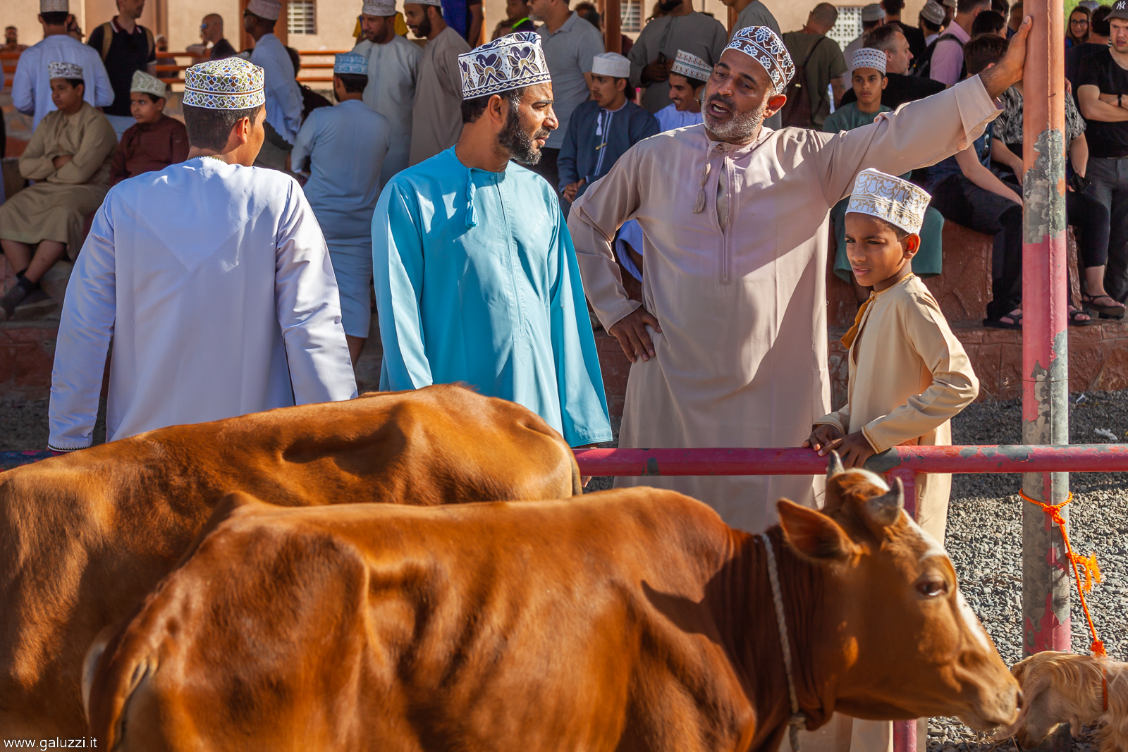 Mercato del bestiame di Nizwa