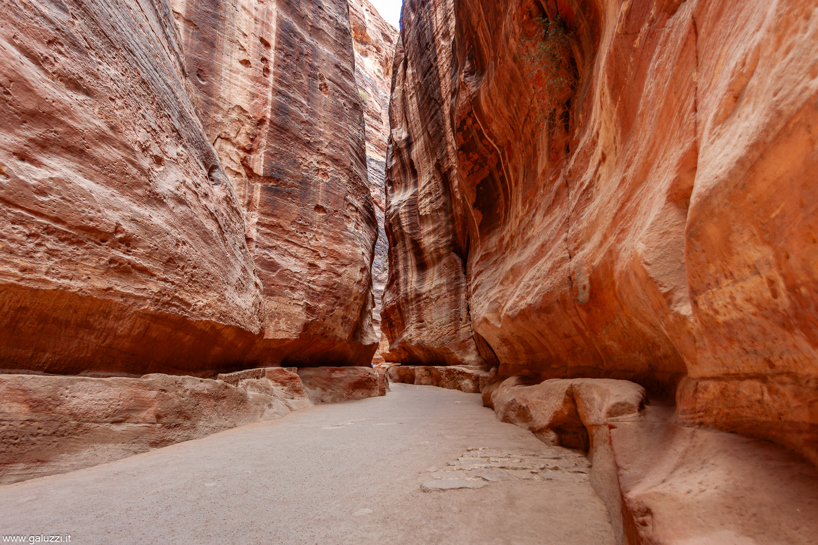 L'ingresso caratteristico di Petra attraverso la lunga e profonda fessura delle rocce chiamata Sik (o Siq)