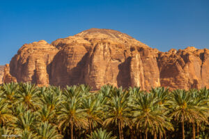 Boschi di palme da dattero dell’Oasi di AlUla, Arabia Saudita
