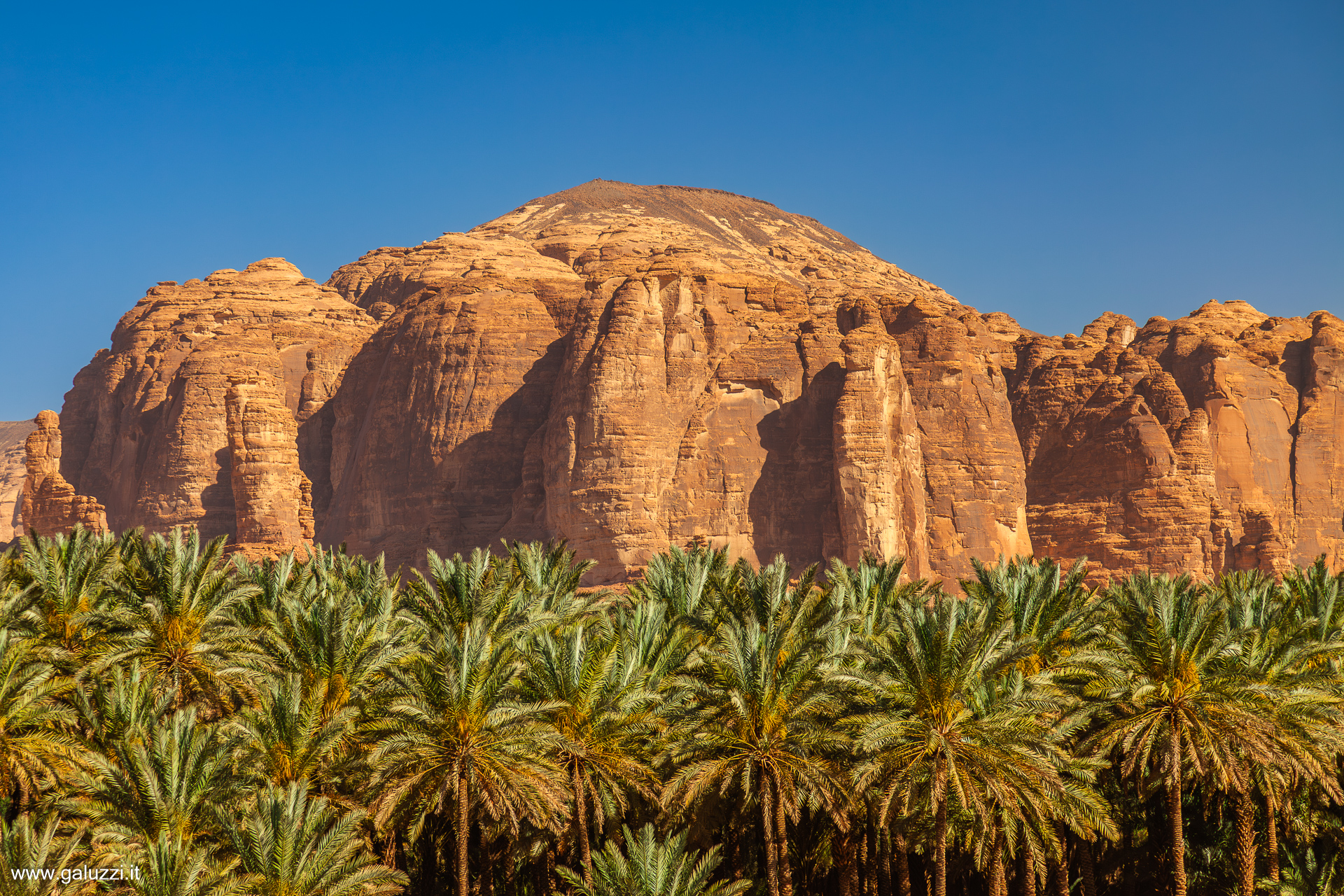 Boschi di palme da dattero dell’Oasi di AlUla, Arabia Saudita