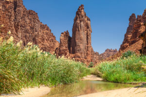 Wadi Disah, "Valle delle palme”, Arabia Saudita