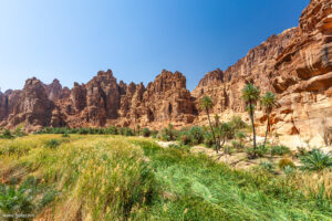 Wadi Disah, "Valle delle palme”