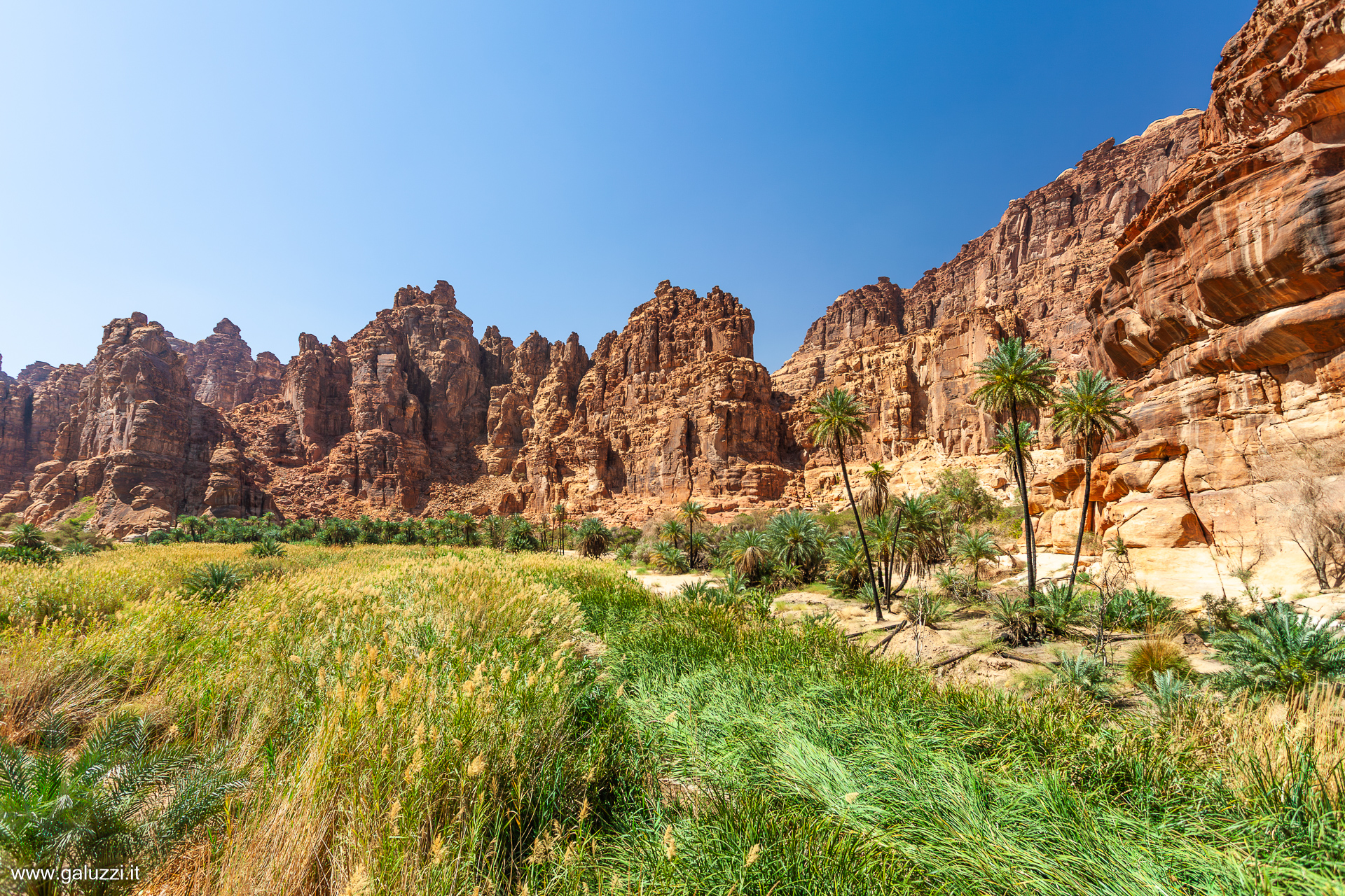 Wadi Disah, "Valle delle palme”
